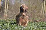 BRIARD 097